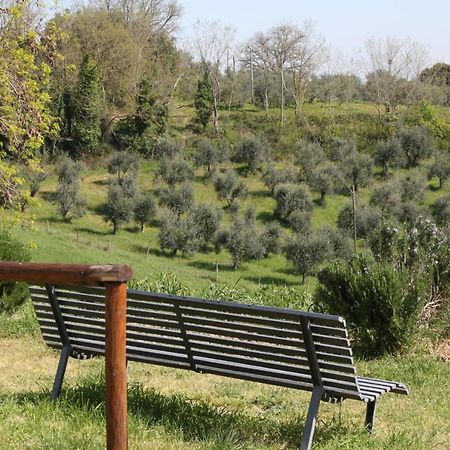 Fattoria San Donato Villa San Gimignano Bagian luar foto